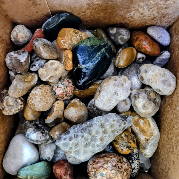 Great Lakes Rocks/ Petoskey stones/ Pudding Stone/ minerals