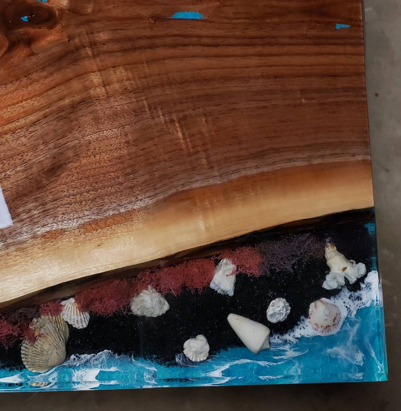 Live Edge Resin Ocean Themed Coffee Table-black Sand-shells/ - Etsy