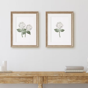 White Hydrangea Bloom Single Watercolor Art Print on Archival Paper, White Flower Poster, New England Modern Country, Floral Wall Art