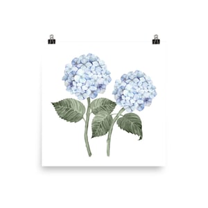 Hydrangea Stems Double Watercolor Art Print on Archival Paper / Poster / Wall Art image 4