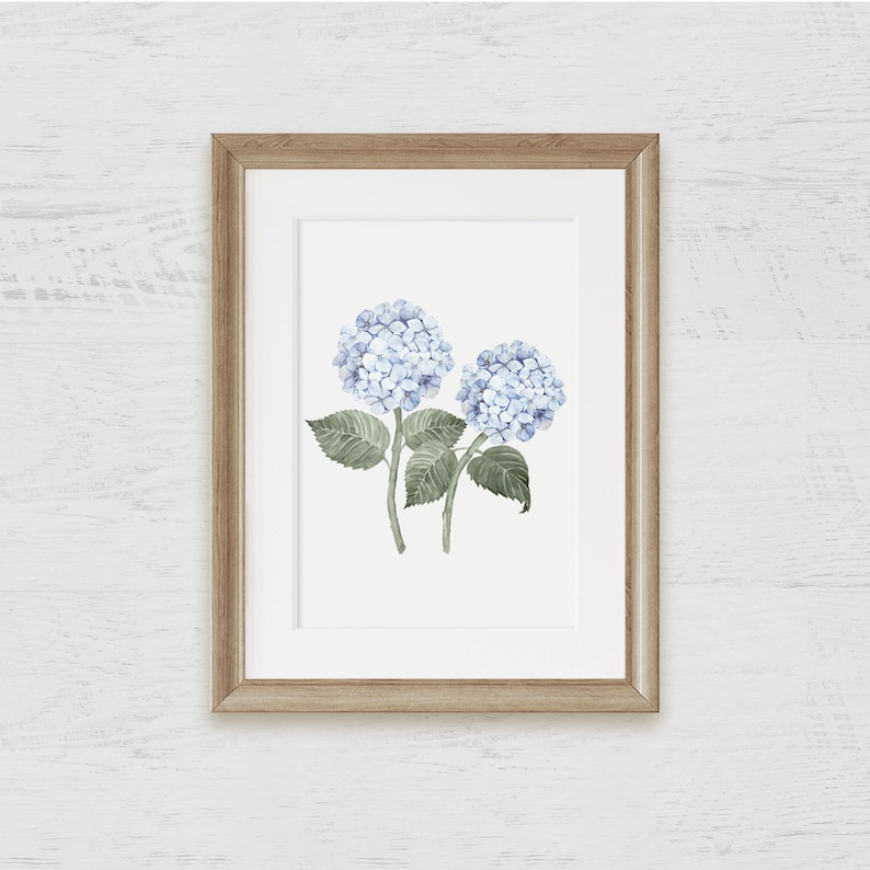 Hydrangea Stems Double Watercolor Art Print on Archival Paper / Poster / Wall Art image 2