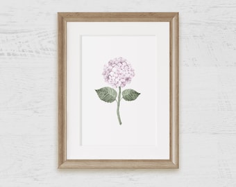 Pink Hydrangea Bloom Watercolor Art Print on Archival Paper / Poster / Wall Art