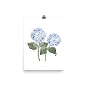 Hydrangea Stems Double Watercolor Art Print on Archival Paper / Poster / Wall Art image 5