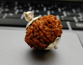 5 Mukhi Rudraksha Pendant (Nepal Origin) | Certified Natural Five Face Rudraksha in 925 Silver | Pendant for Men & Women