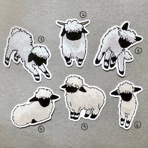 Walliser Schwarznasenschafe Sticker