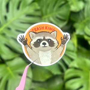 Sticker meme raton laveur roi poubelle