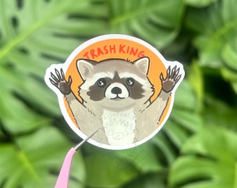 trash king raccoon meme sticker