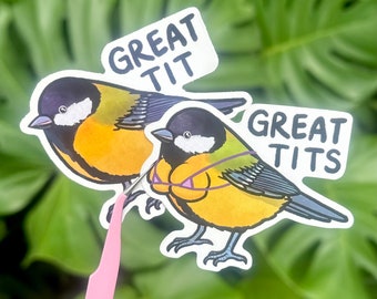 Great tit sticker / passerine bird / tits /