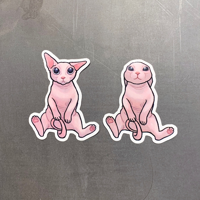 Bingus Naked Cat / Sphynx / Hairless Cat / Kitty - Etsy