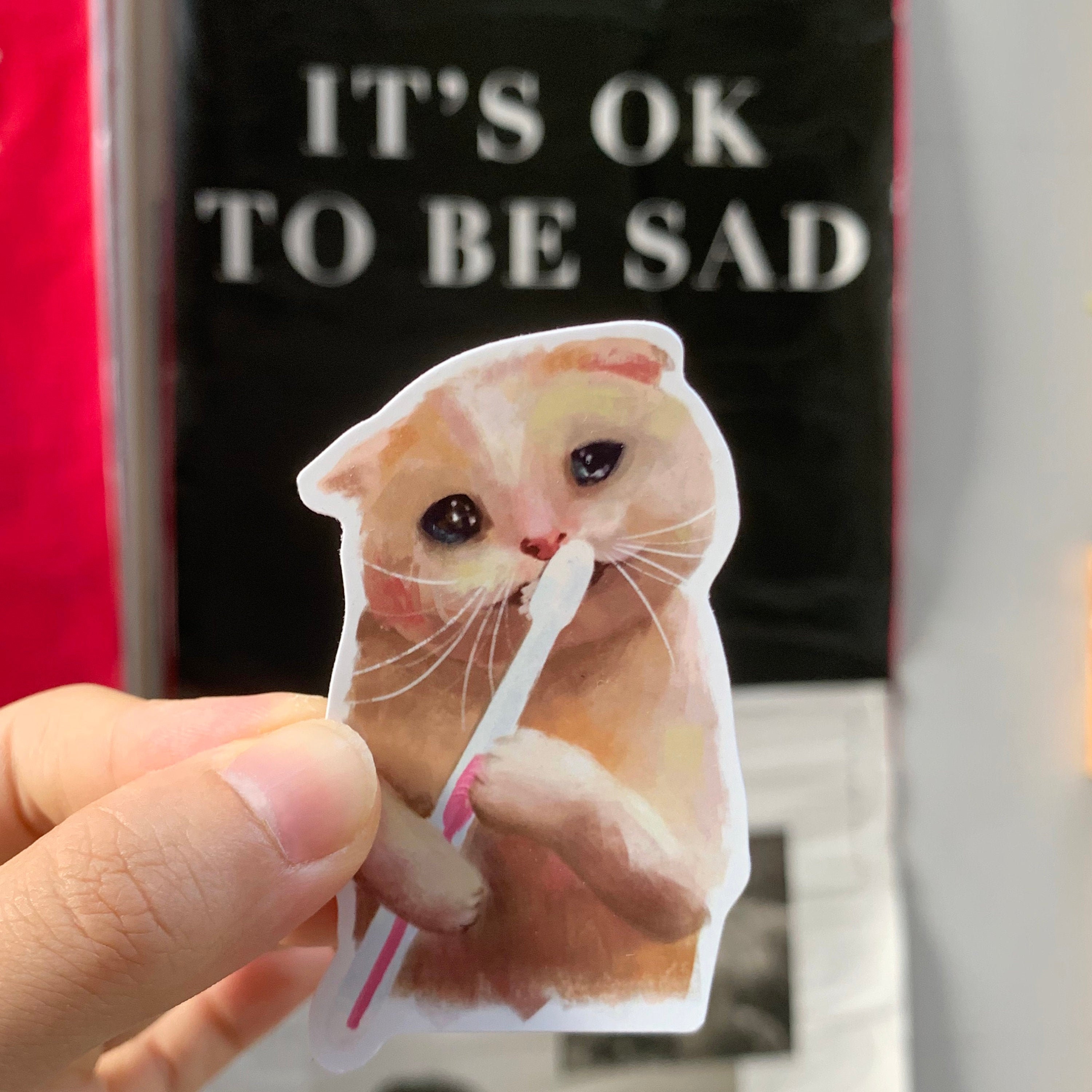 SAD CAT, MEME