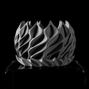 以下が含まれることがあります： ユニークな有機的デザインのグレースケール3Dプリント装飾ボウル。ボウルは、オープンでテクスチャのある表面を作成する、相互接続された波のような形状の一連の形状を備えています。デザインは対称的です。