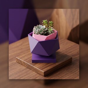 Puede incluir: Una maceta geométrica morada con interior rosa, que contiene suculentas. La maceta se encuentra sobre una pequeña base morada y una superficie de madera. Las suculentas tienen hojas verdes y verde claro.