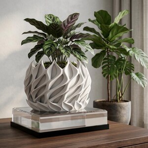 May include: A white plant pot with a complex, layered, petal-like exterior texture containing a green and purple-veined Calathea plant. The pot sits on a clear, rectangular acrylic base with a black bottom edge, showcasing a modern design.