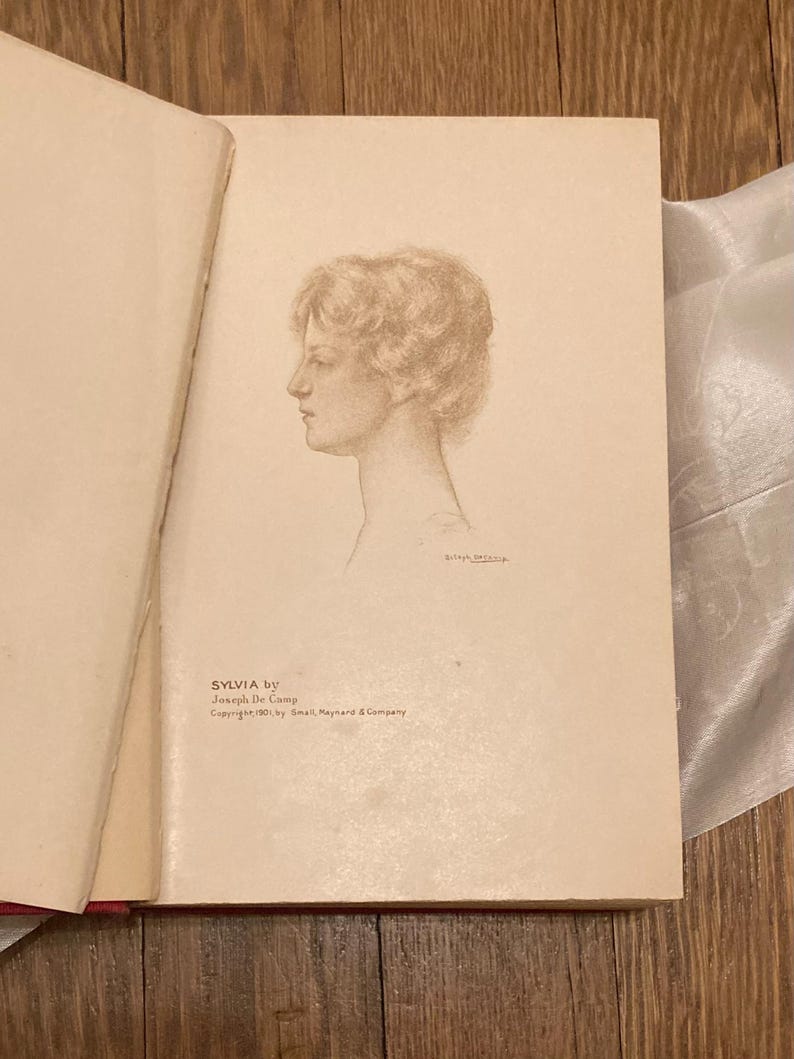 Sylvia: La historia de una condesa estadounidense, de Evalyn Emerson, 1901 imagen 12