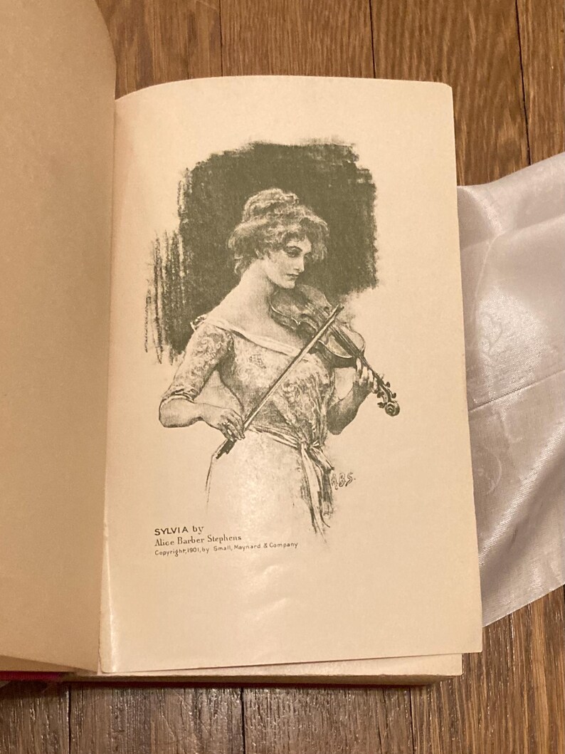 Sylvia: La historia de una condesa estadounidense, de Evalyn Emerson, 1901 imagen 11