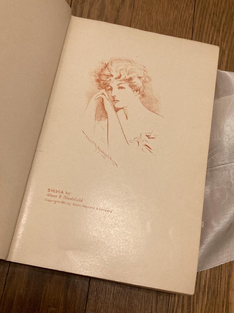 Sylvia: La historia de una condesa estadounidense, de Evalyn Emerson, 1901 imagen 14