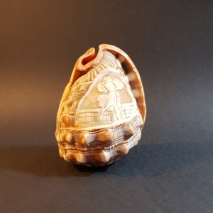 Pode incluir: Uma concha esculpida com um padrão marrom e branco. A concha tem um design detalhado de uma flor e um padrão geométrico.