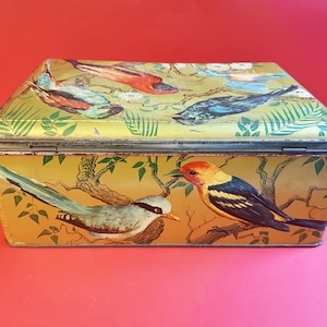 Grande,boite,coffret,publicitaire,Mon Bana,rectangle,tole,métal,sérigraphie,scene,oiseaux,30x20x12Cm,