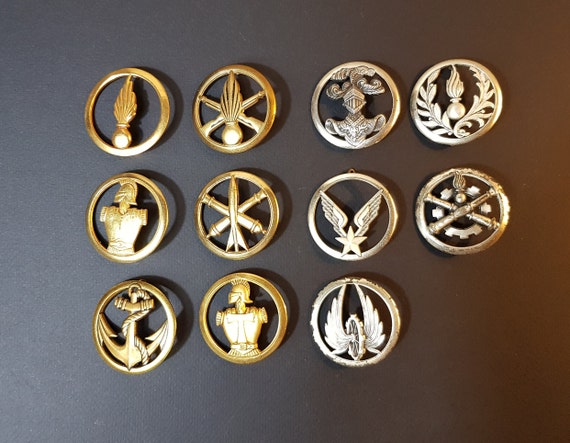 INSIGNE MILITAIRE MÉDAILLE, broche, pucelle, insigne militaire 110° RI