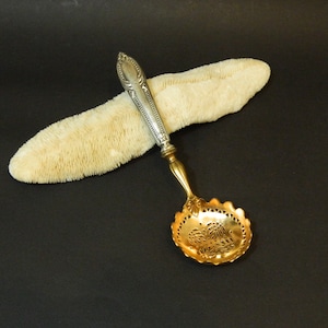 May include: A silver and gold sugar spoon with a decorative handle and a perforated bowl. The spoon is resting on a piece of white coral.