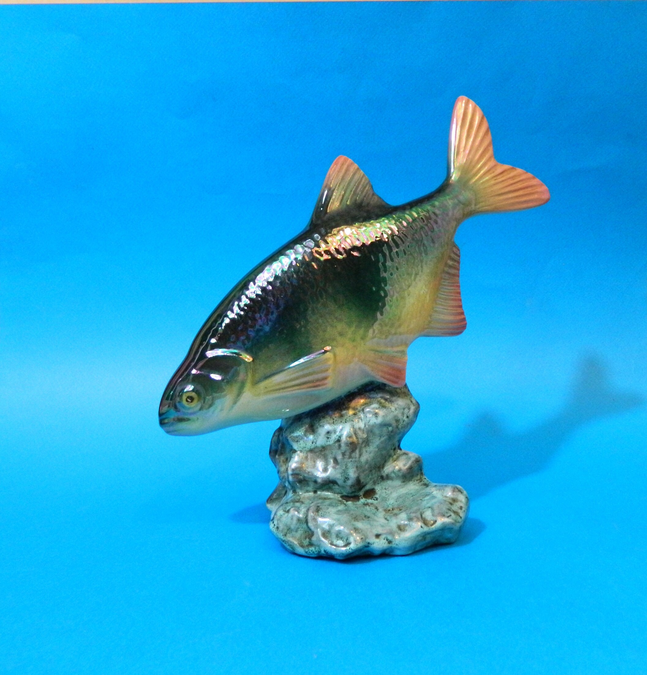 Poisson Carpe Sur Roche