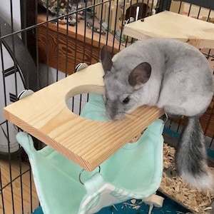 May include: A light gray chinchilla resting on a rectangular light-colored wooden platform with a circular cutout. A soft, light mint green fabric hammock is suspended beneath the wooden platform by metal rings attached to the corners.