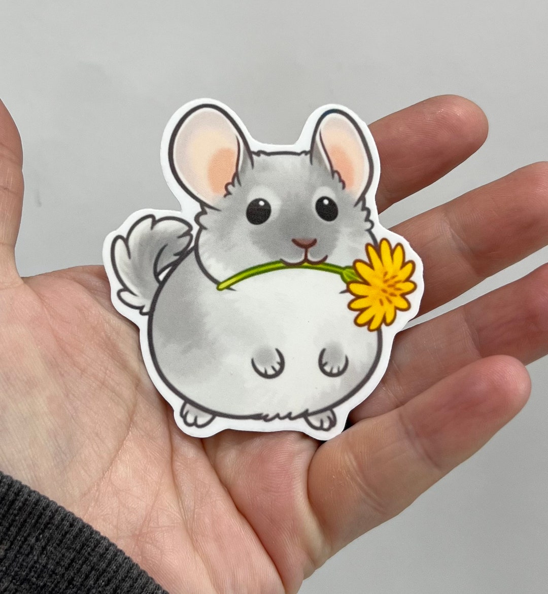 Cute Chinchilla With Dandelion Sticker, Chinchilla Sticker - Etsy