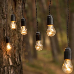 May include: String of Edison bulb lights hanging from tree branches. The bulbs are clear glass with a warm white glow. The lights are strung on black cords.