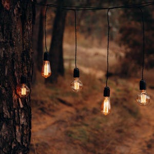 May include: Five warm, glowing light bulbs hang from a string in a woodland setting. The bulbs are suspended from black cords and have a vintage, Edison-style design. The background is a blurred image of trees and foliage.