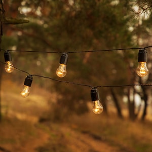 May include: String lights with warm, glowing bulbs strung across a natural outdoor setting. The bulbs are evenly spaced along a black wire, creating a cozy and inviting ambiance. The background features a blurred forest scene.