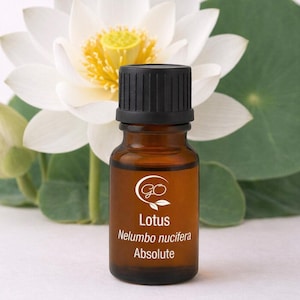 May include: A brown essential oil bottle with a black cap, labelled "Lotus Nelumbo nucifera Absolute." The bottle is positioned in front of a white lotus flower with a yellow centre and green leaves. The logo on the bottle is a stylized "GO" with leaves.