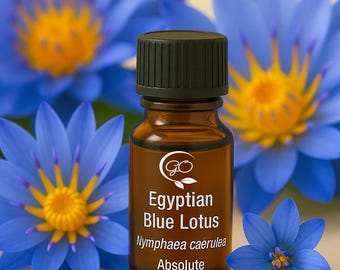 Huile essentielle absolue de lotus bleu d'Égypte (Nymphaea caerulea). Pur non dilué.