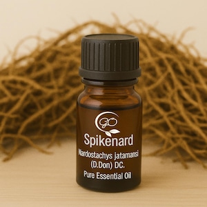 Può includere: Una piccola bottiglia di vetro marrone di olio essenziale di Nardo con un tappo nero. L'etichetta include il logo del marchio e le parole "Spikenard", "Nardostachys jatamansi (D.Don) DC." e "Pure Essential Oil". Lo sfondo presenta un elemento marrone sfocato e strutturato.