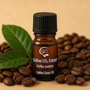 Extracto de CO2 de café (Coffea Arabica) Aceite de grano de café tostado