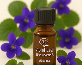 Violet Leaf Absolute (Viola odorata L.) - Premium Quality - Pure