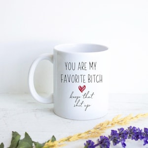 You Are My Favorite Bitch Mug Gift, Gift for Best Friend, Anniversary Gift, Best Friend Gift, Custom Personalized Friend Gift, Funny Gift