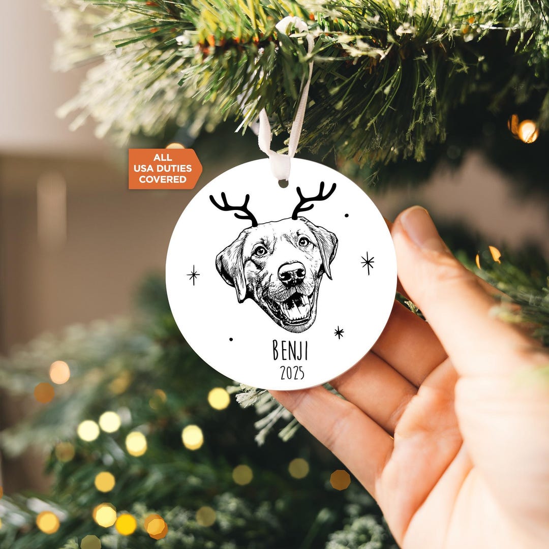 Personalized Pet Ornament 2025 | Custom Photo Dog Ornament, Christmas ...