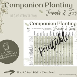 Companion Planting Friends & Foes Guide - Etsy