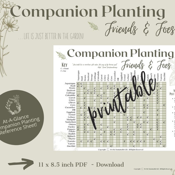 Companion Planting Friends & Foes Guide