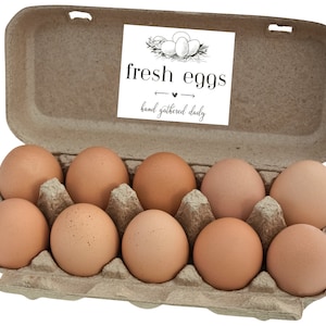 Egg Carton Label Printable Template | Printable Sticker Template | Egg Carton Sticker | Digital Sticker Template | INSTANT DIGITAL DOWNLOAD