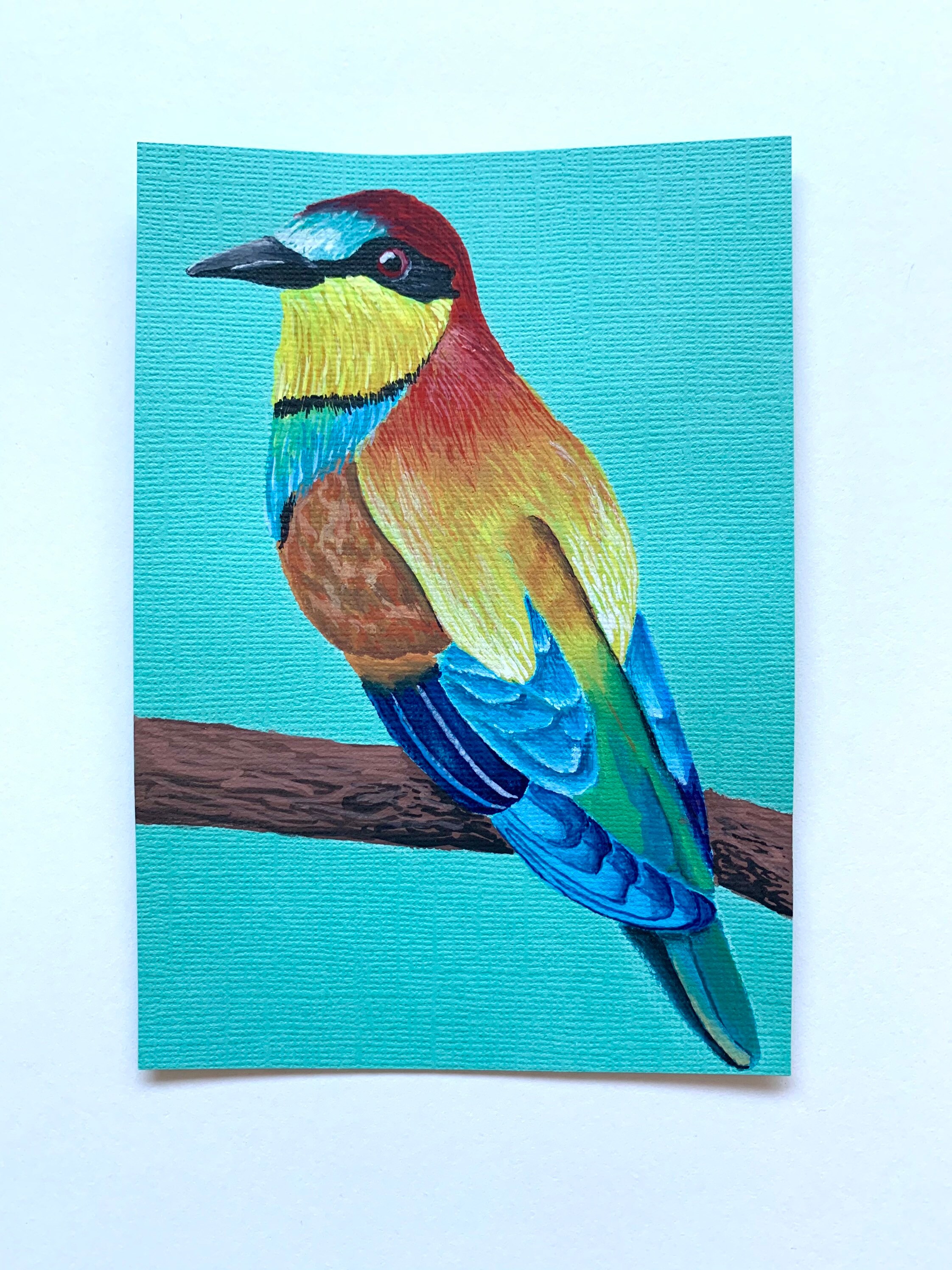 Gouache Bird Paintings // Original Artwork // A6 Bird Art Etsy UK
