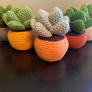May include: Five crocheted succulent plants in pots. The pots are orange, brown, and purple. The succulents are green, gray, and a light green.
