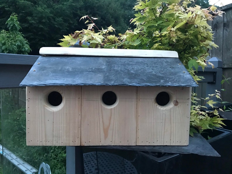 Natural slated roof communal bird box Etsy
