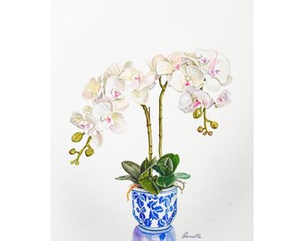 May include: A watercolor painting of white orchids in a blue and white ceramic pot. The orchids have pink centers and are in bloom. The pot has a floral design.