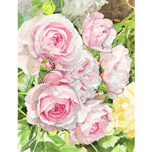 Pretty Pink Roses: Original Watercolor Painting by Pierrette Komarek (26x19)