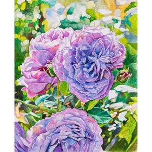 Original Watercolor Lavender Rose Painting: Floral Wall Art (21x16)