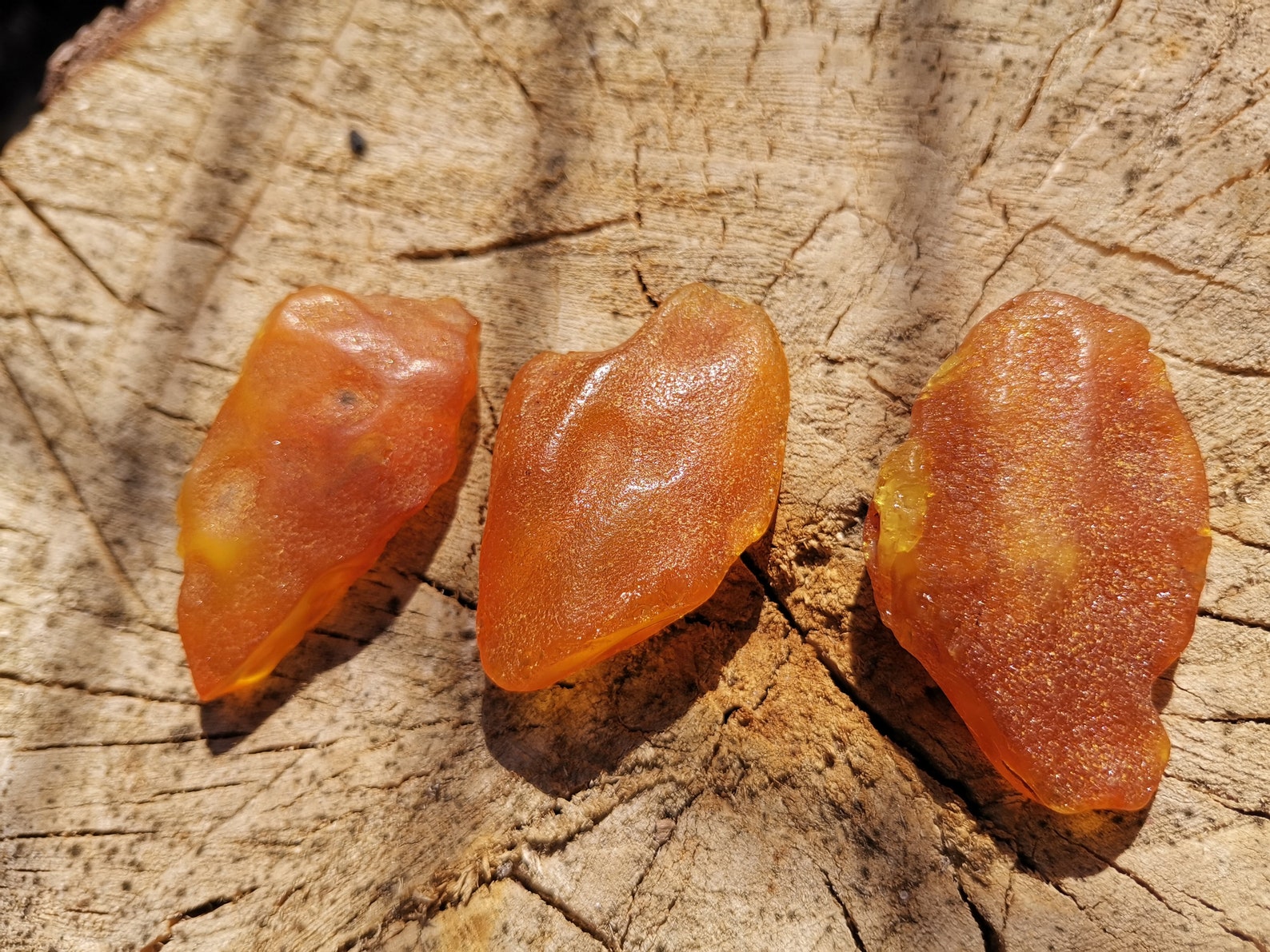 Natural sea Amber Stones / Raw Loose Amber / 3 units wholesale | Etsy