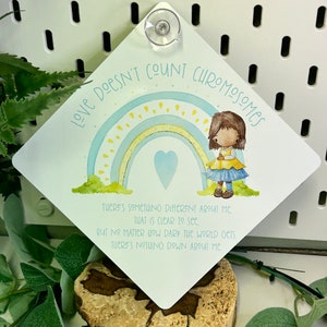 Down Syndrome Rainbow Baby On Board Window Car Sign - Girl - Boy