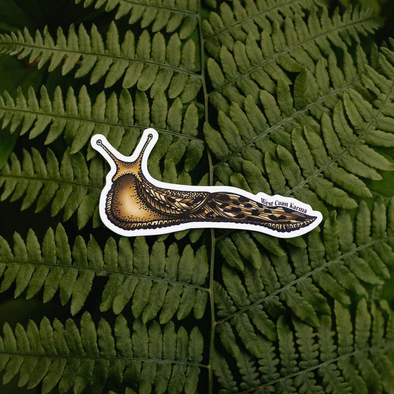 Colourful Banana Slug Sticker