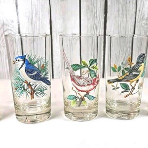 West Virginia Glass American Songbird Gold Rim Tumblers Set of 5 5.5” Made USA